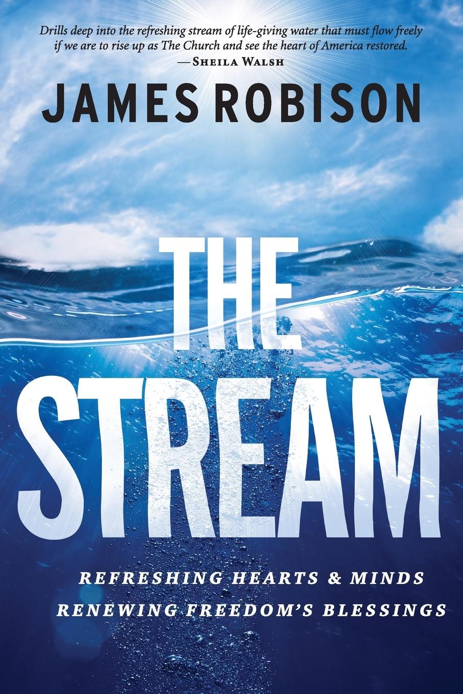 Vorderes Coverbild The Stream
