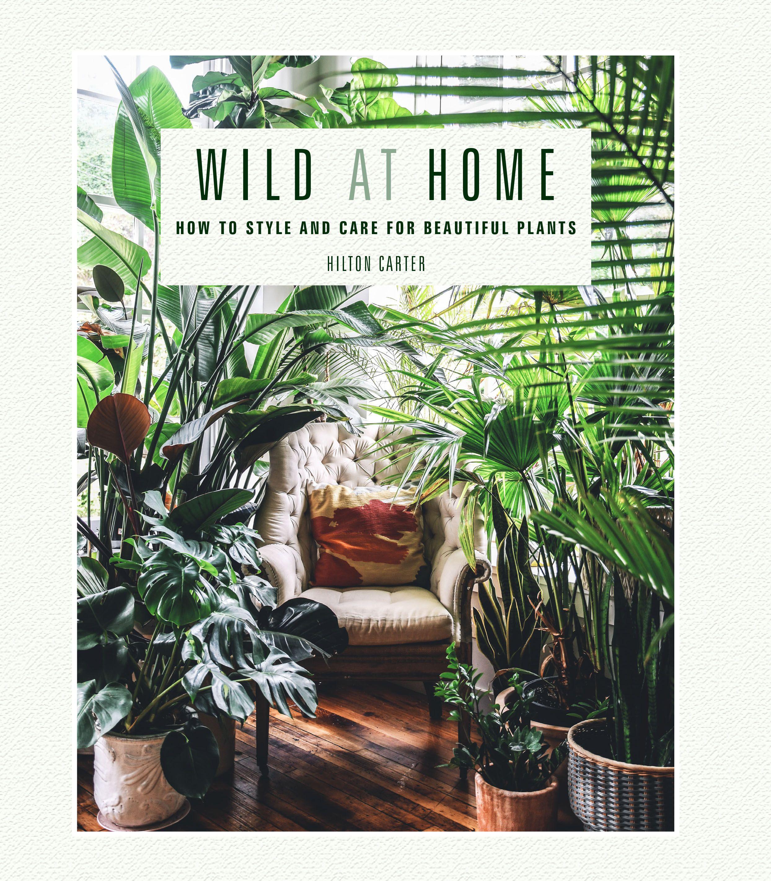 Vorderes Coverbild Wild at Home