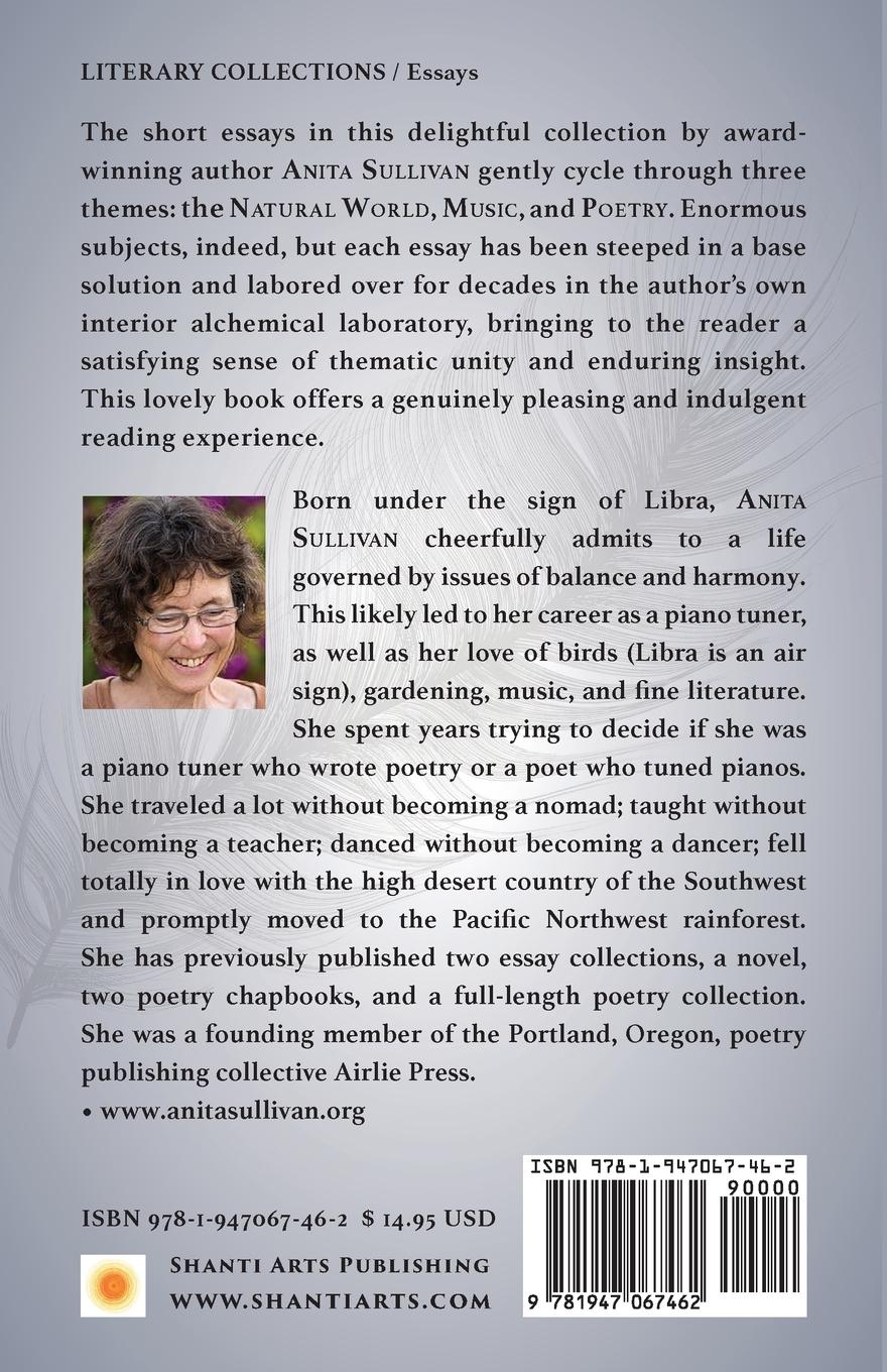 Rückseitencover The Bird That Swallowed the Music Box