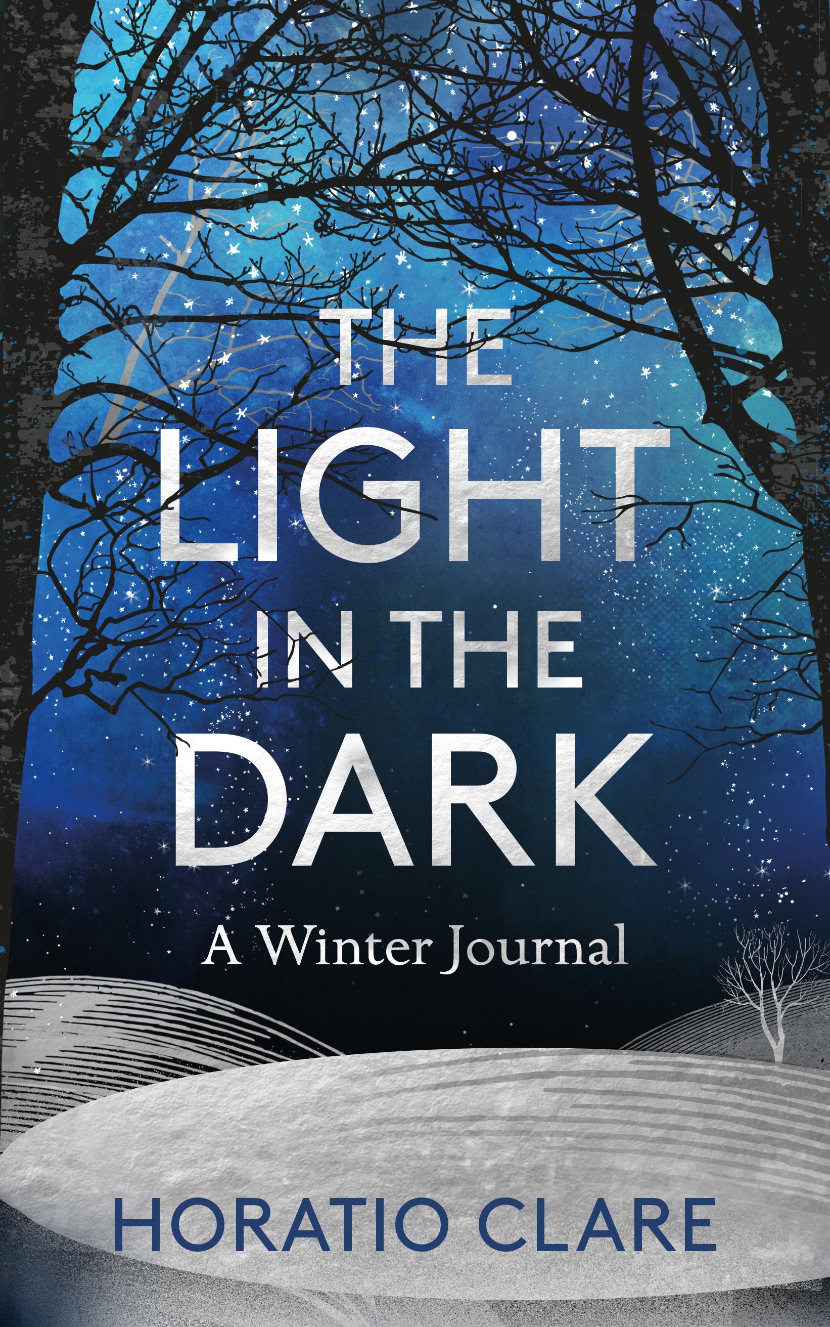 Vorderes Coverbild The Light in the Dark: A Winter Journal