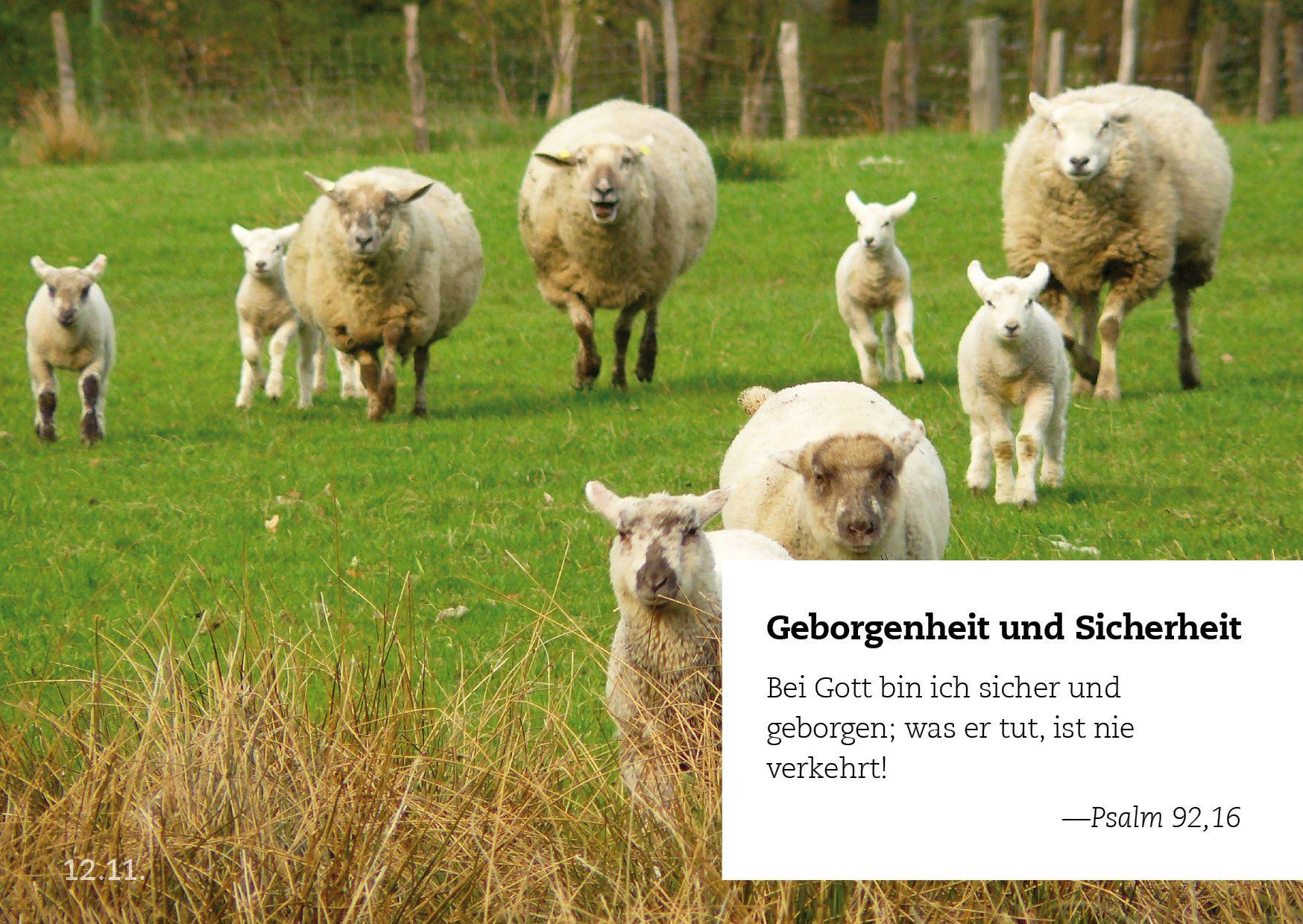 Beispielinhalt (Bild) 365 Verheißungen