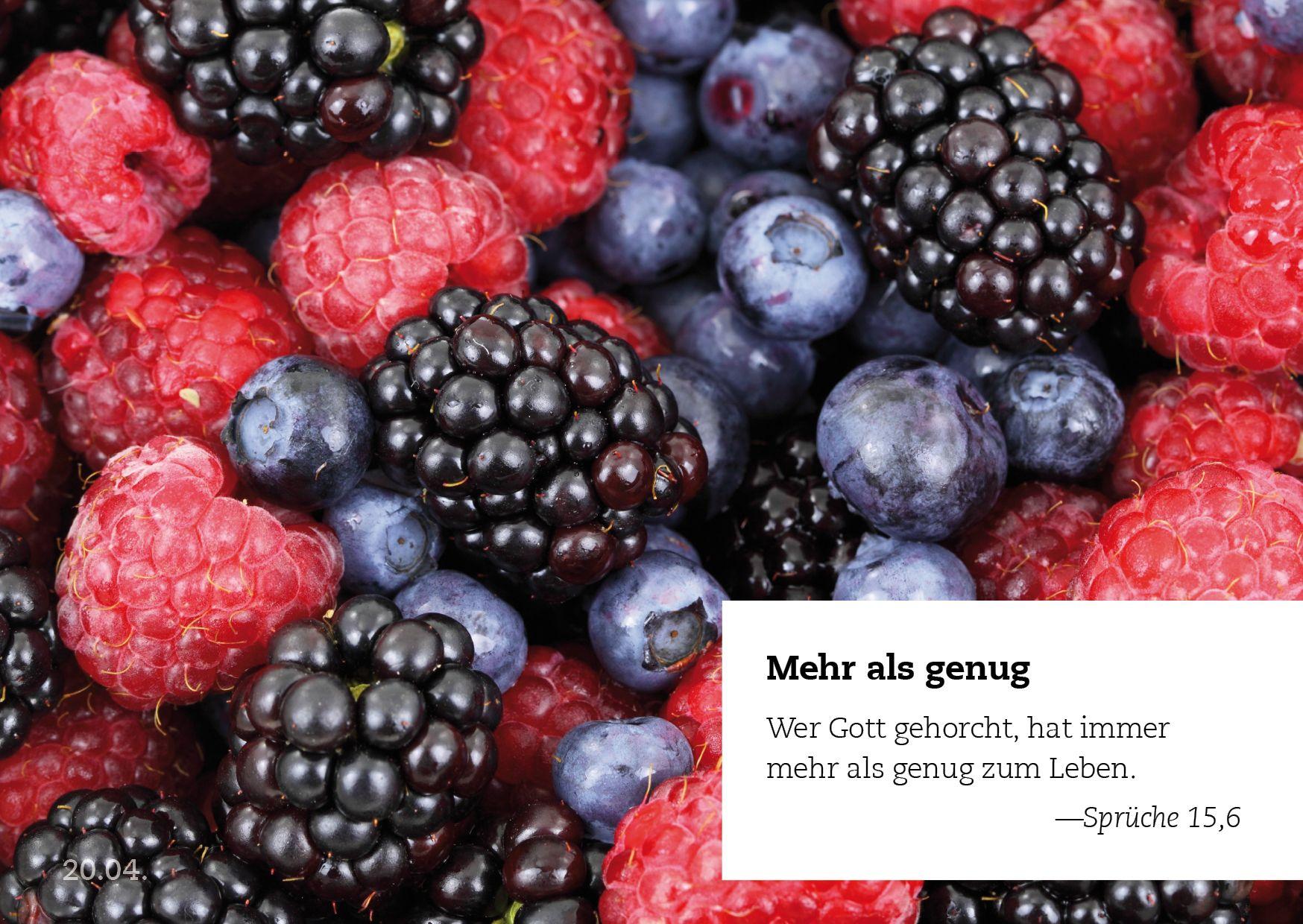 Beispielinhalt (Bild) 365 Verheißungen