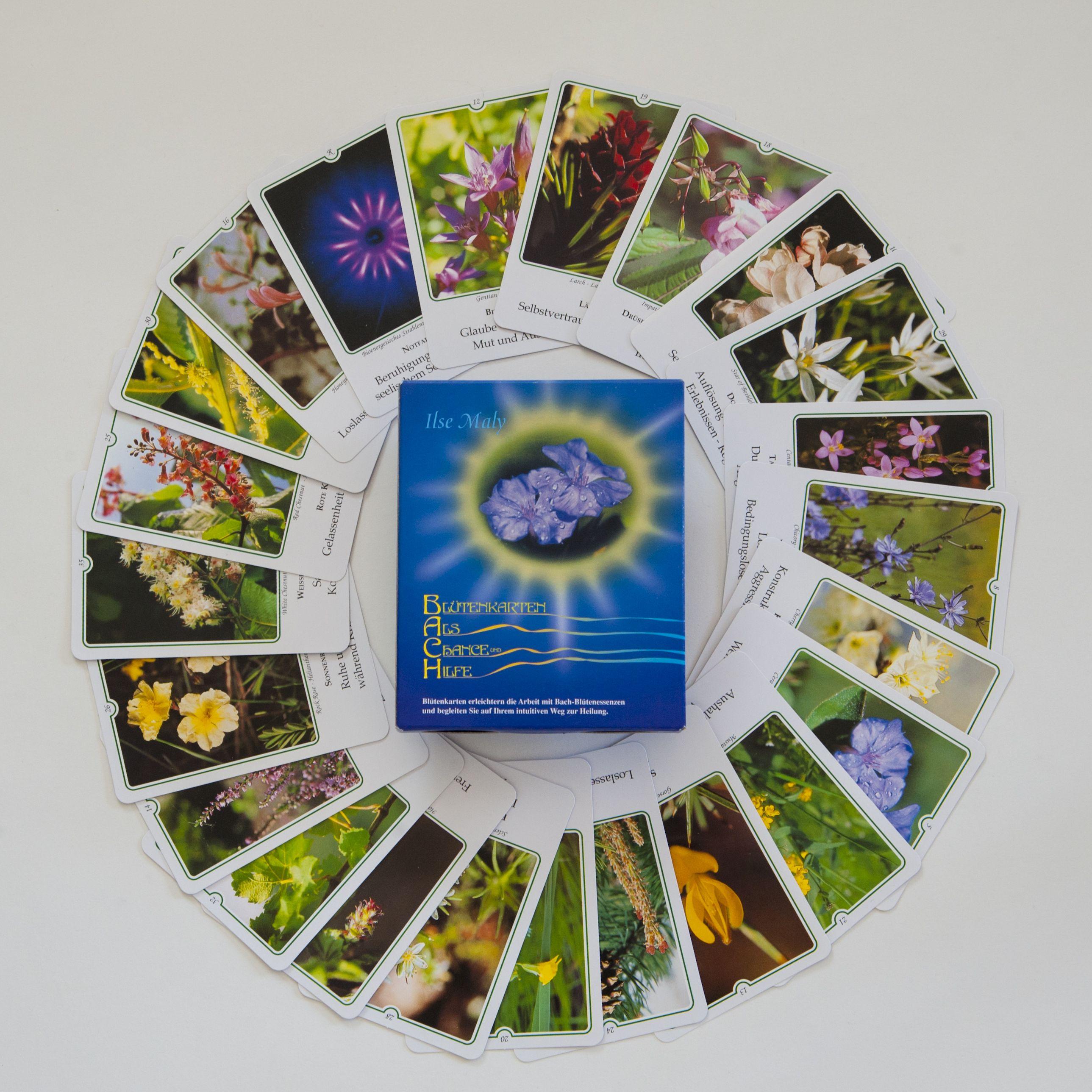 Vorderes Coverbild Bachblüten-Karten. Blütenkarten als Chance und Hilfe