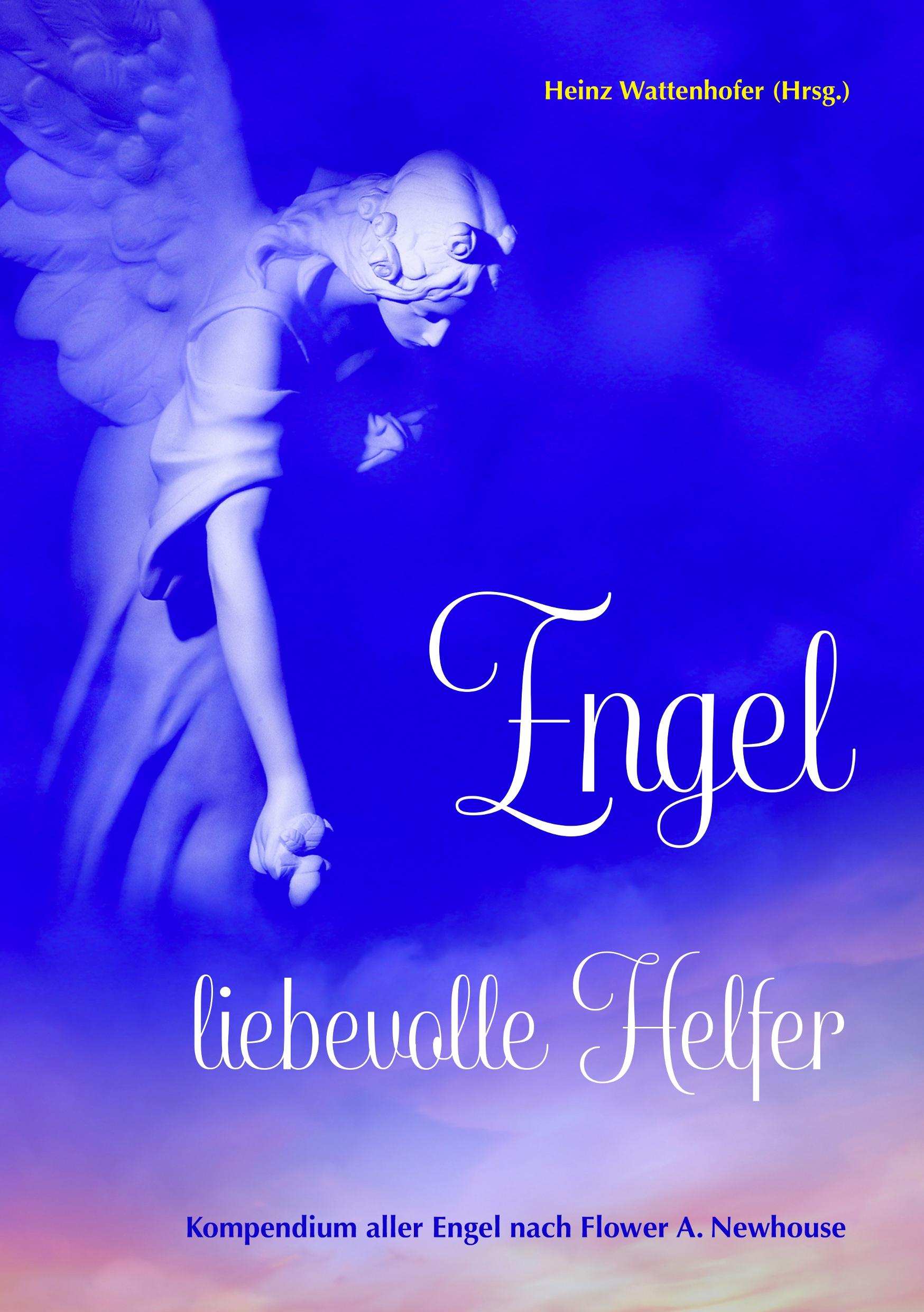 Vorderes Coverbild Engel: liebevolle Helfer