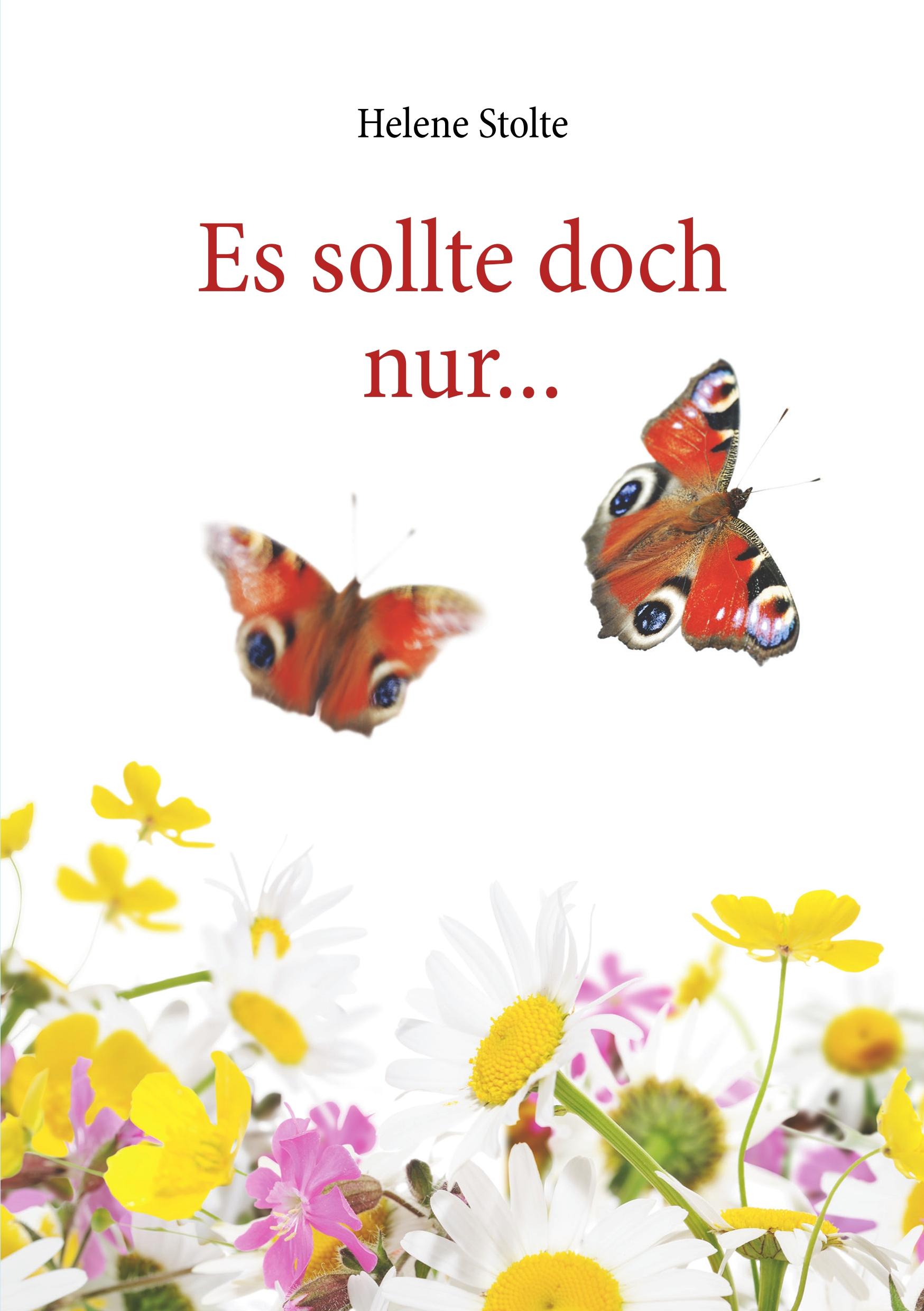 Vorderes Coverbild Es sollte doch nur ...