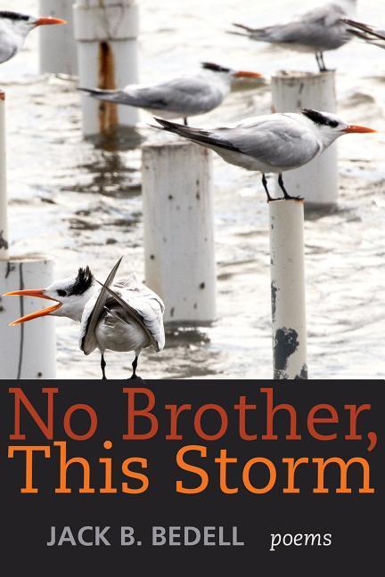 Vorderes Coverbild No Brother This Storm