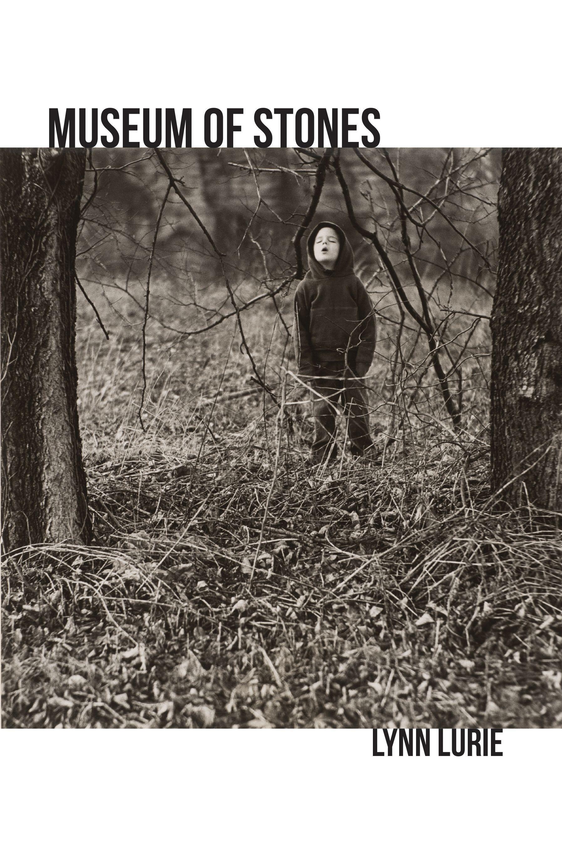 Vorderes Coverbild Museum of Stones