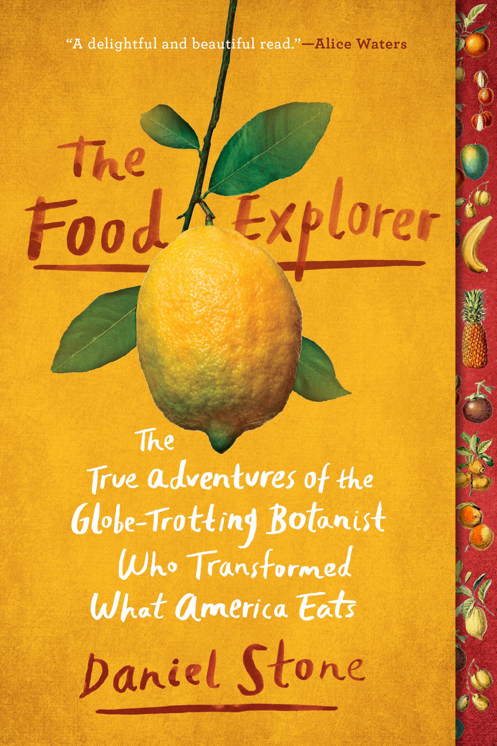Vorderes Coverbild The Food Explorer