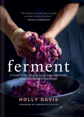 Vorderes Coverbild Ferment