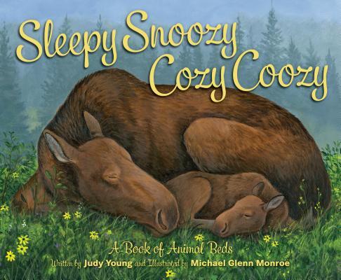 Vorderes Coverbild Sleepy Snoozy Cozy Coozy