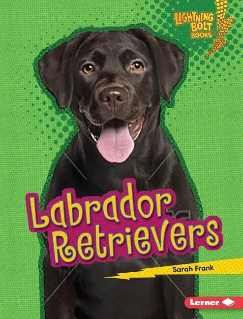 Vorderes Coverbild Labrador Retrievers