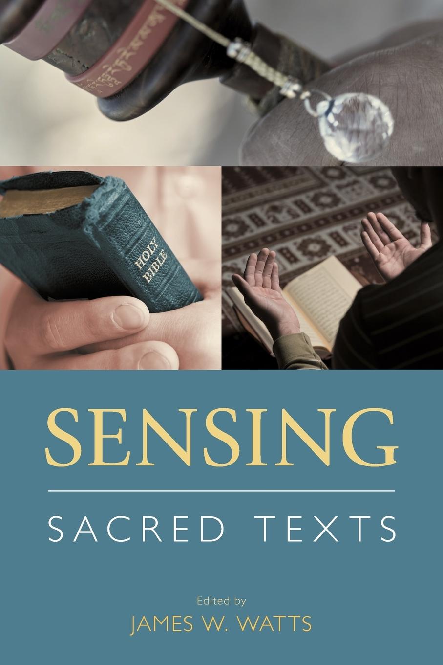 Vorderes Coverbild Sensing Sacred Texts