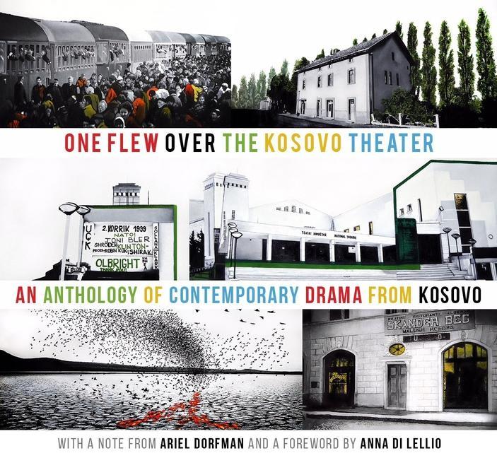 Vorderes Coverbild One Flew Over the Kosovo Theater