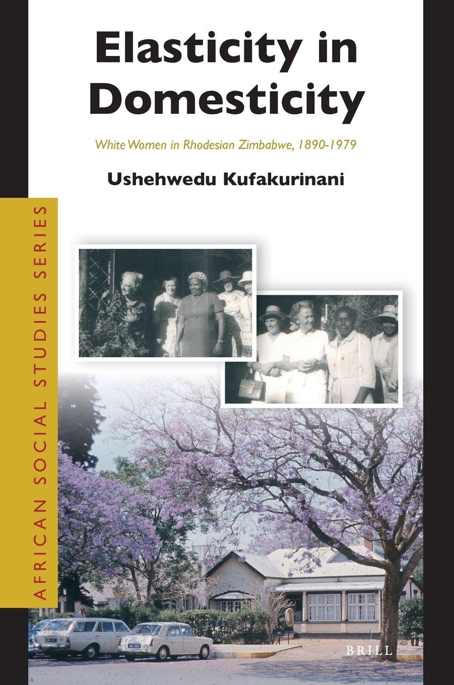 Vorderes Coverbild Elasticity in Domesticity: White Women in Rhodesian Zimbabwe, 1890-1979