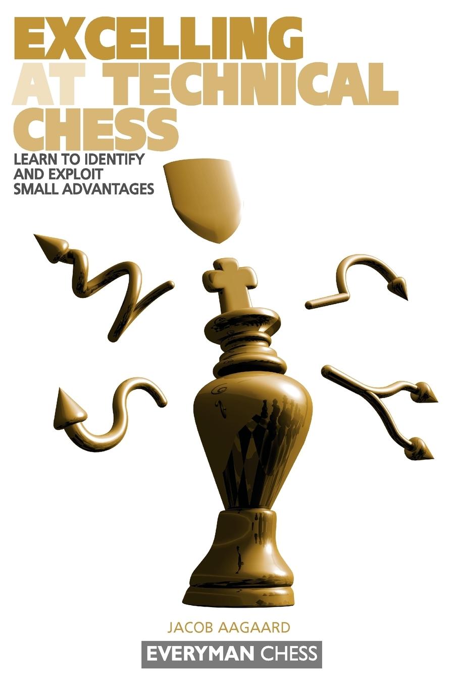 Vorderes Coverbild Excelling at Technical Chess