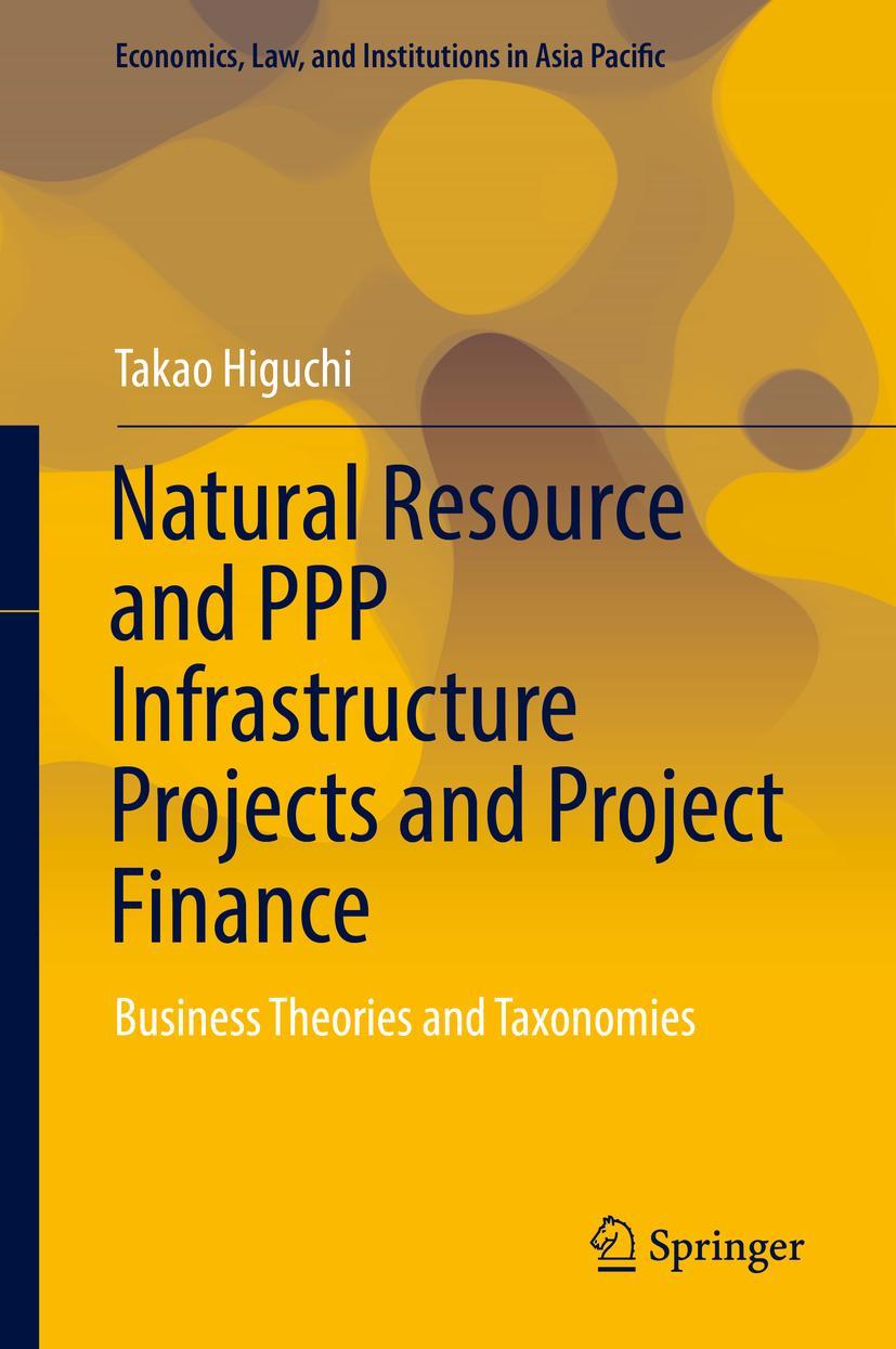 Vorderes Coverbild Natural Resource and PPP Infrastructure Projects and Project Finance
