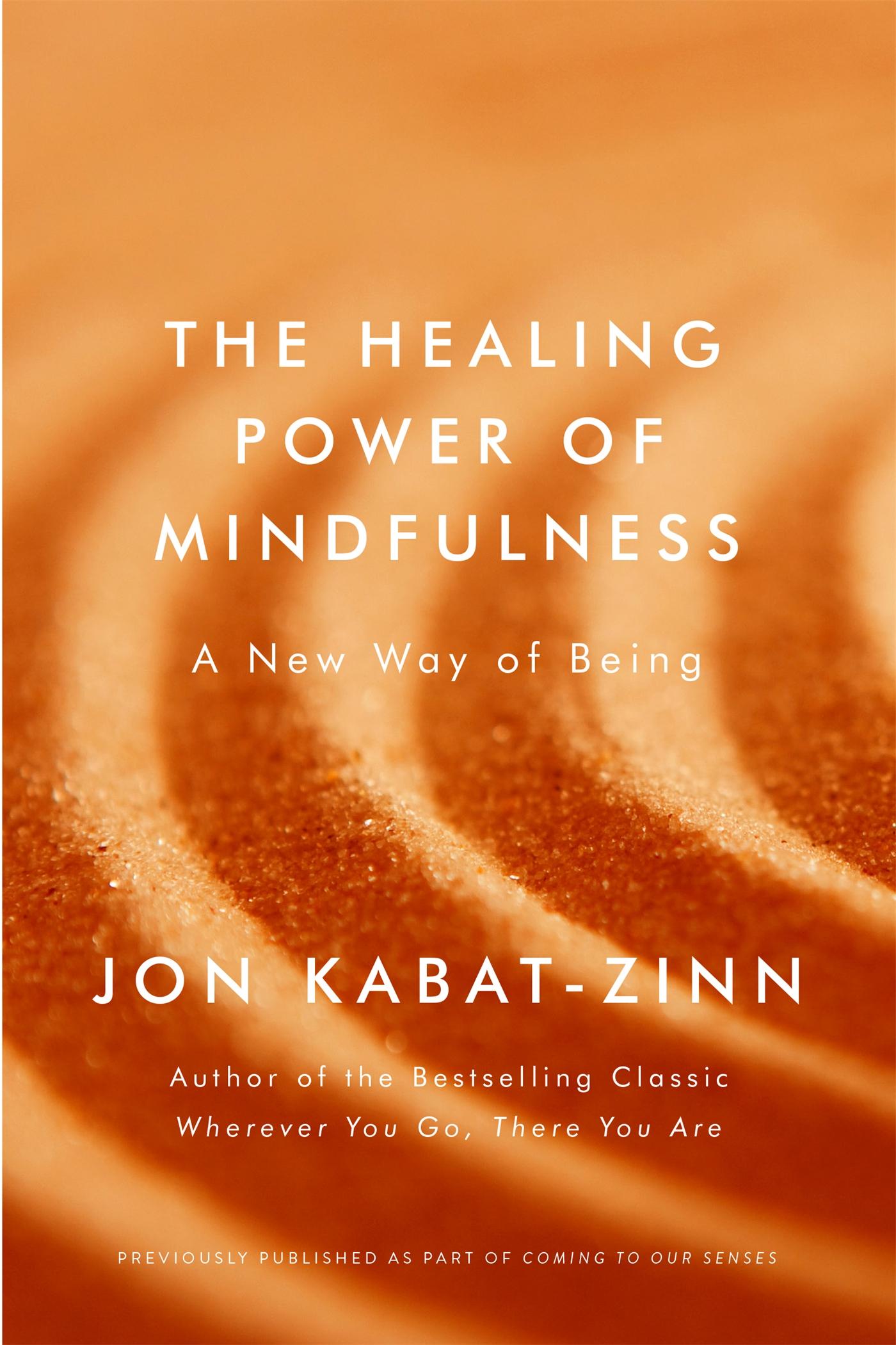 Vorderes Coverbild The Healing Power of Mindfulness