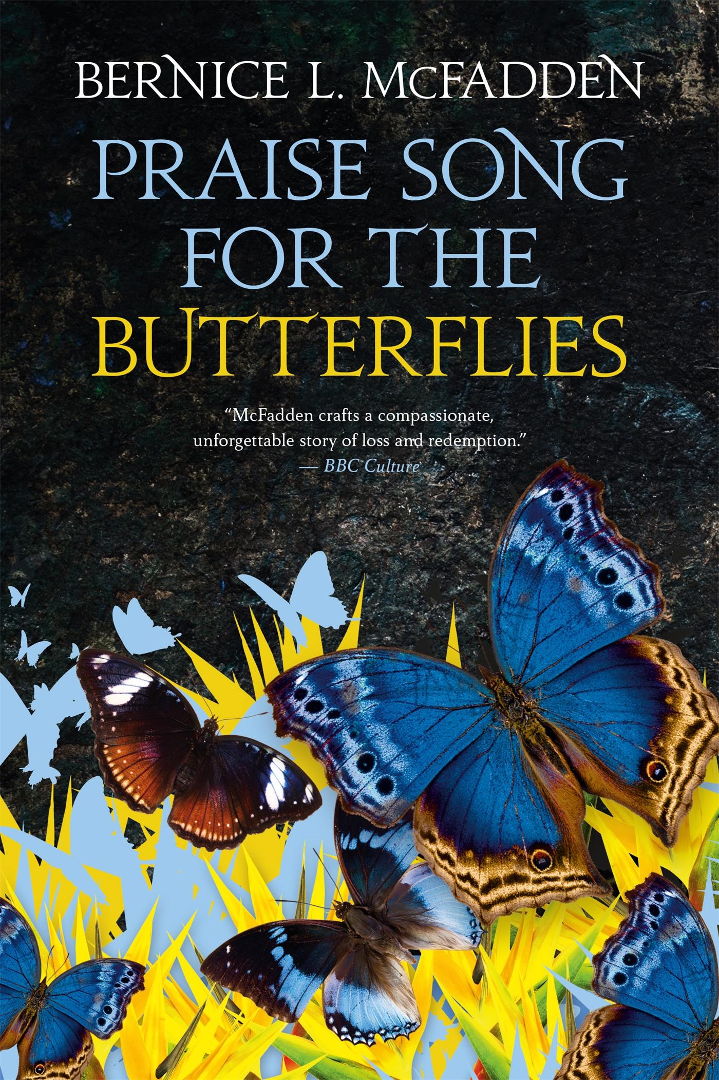 Vorderes Coverbild Praise Song For The Butterflies