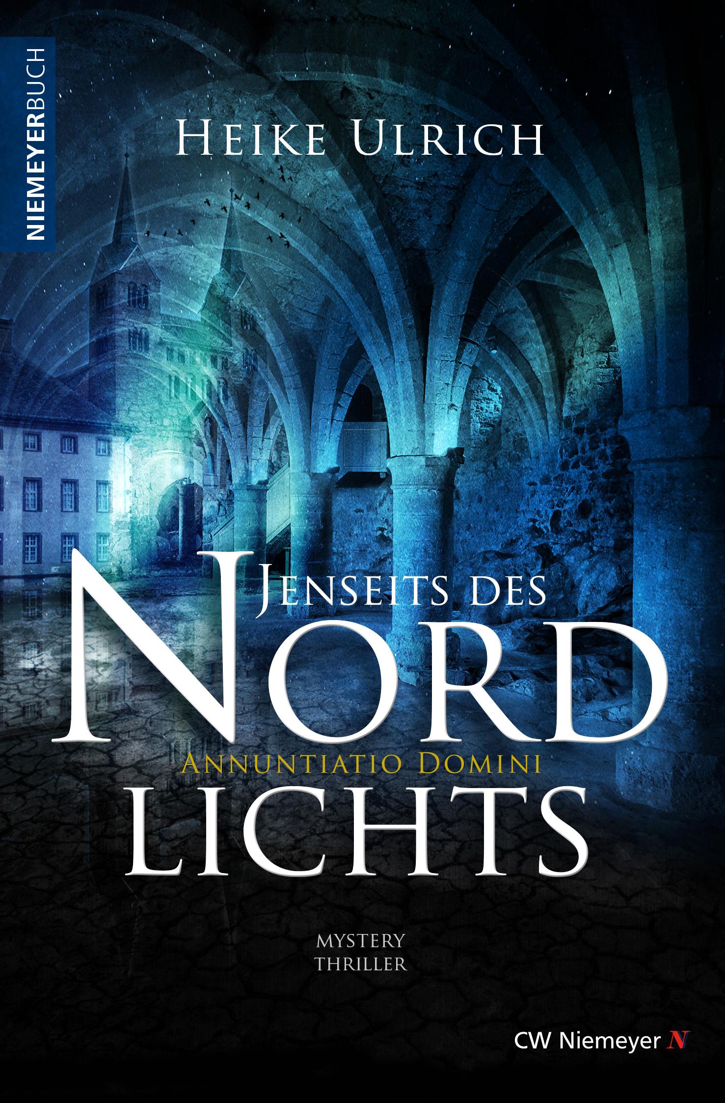 Vorderes Coverbild Jenseits des Nordlichts