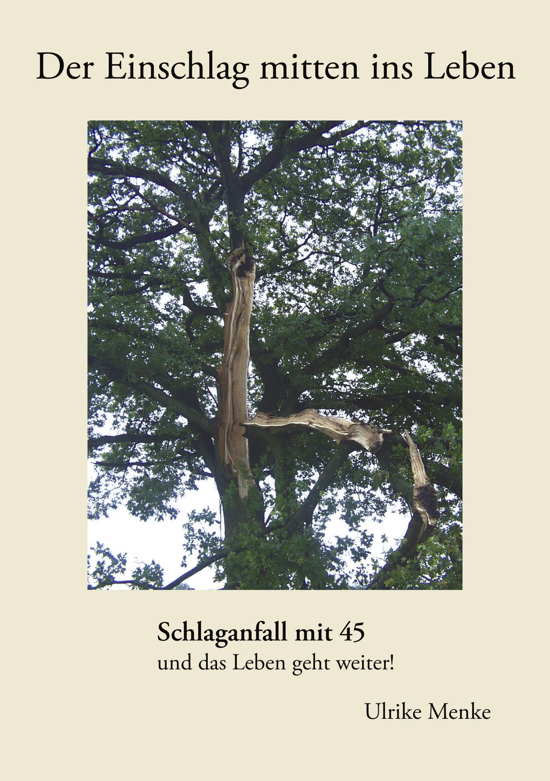 Vorderes Coverbild Der Einschlag mitten ins Leben