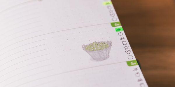 Beispielinhalt (Bild) Grüner Faden - Der grüne Jahresplaner für mehr Nachhaltigkeit und ein einfaches Leben