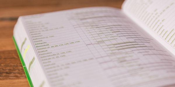 Beispielinhalt (Bild) Grüner Faden (Sonne) - Der grüne Jahresplaner für mehr Nachhaltigkeit und ein einfaches Leben