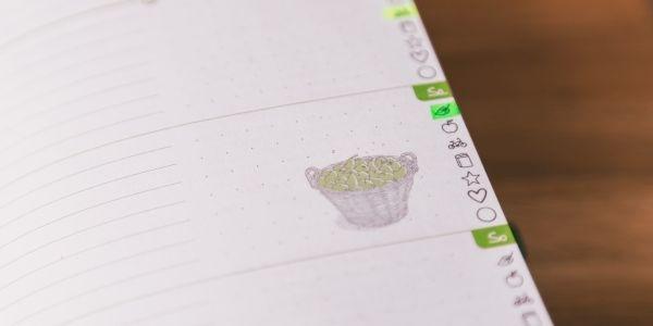 Beispielinhalt (Bild) Grüner Faden (Sonne) - Der grüne Jahresplaner für mehr Nachhaltigkeit und ein einfaches Leben