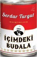 Vorderes Coverbild Icimdeki Budala