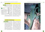 Beispielinhalt (Bild) Der Stirnlappenbasilisk