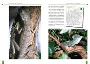 Beispielinhalt (Bild) Der Stirnlappenbasilisk
