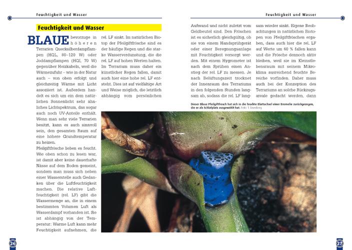 Beispielinhalt (Bild) Der Blaue Pfeilgiftfrosch