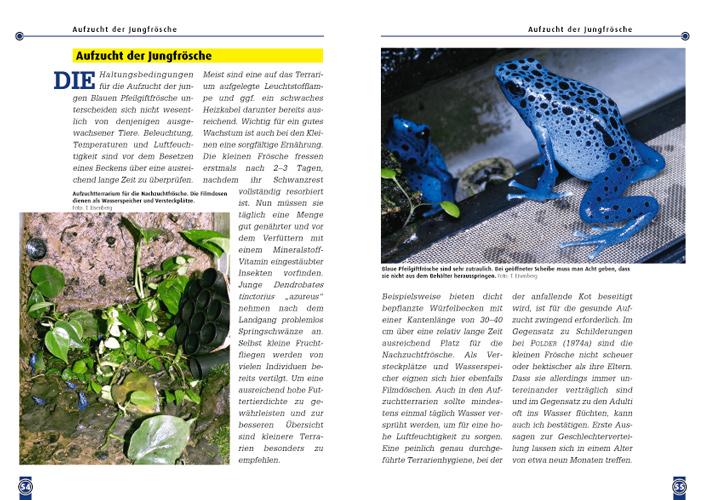 Beispielinhalt (Bild) Der Blaue Pfeilgiftfrosch