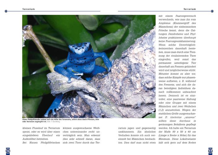 Beispielinhalt (Bild) Der Blaue Pfeilgiftfrosch
