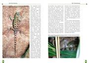 Beispielinhalt (Bild) Malachit-Stachelleguane