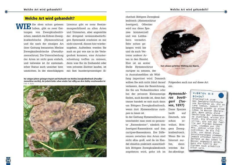 Beispielinhalt (Bild) Der Zwergkrallenfrosch