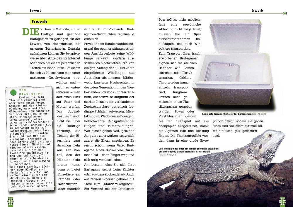 Beispielinhalt (Bild) Die Bartagame