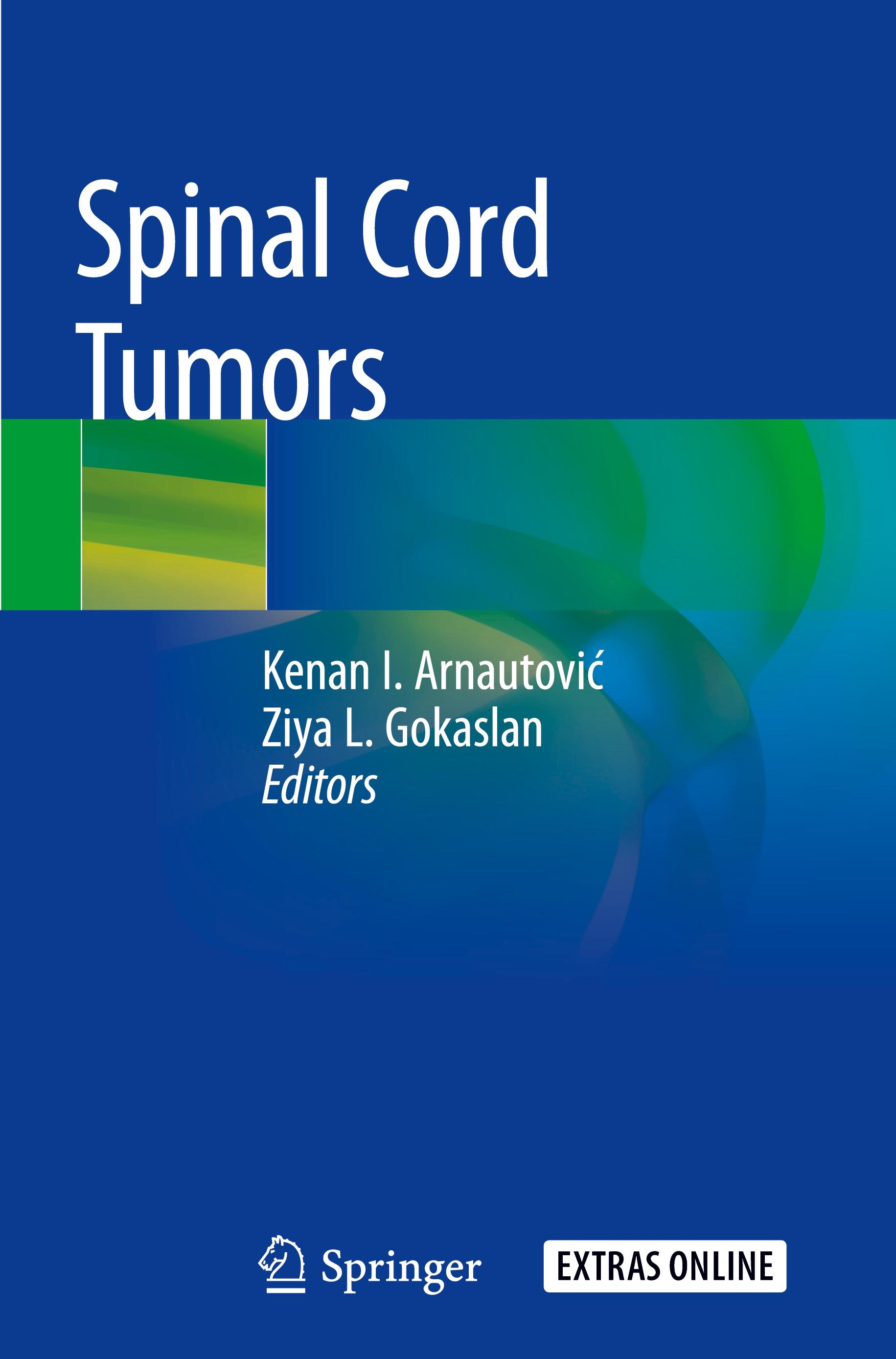 Vorderes Coverbild Spinal Cord Tumors