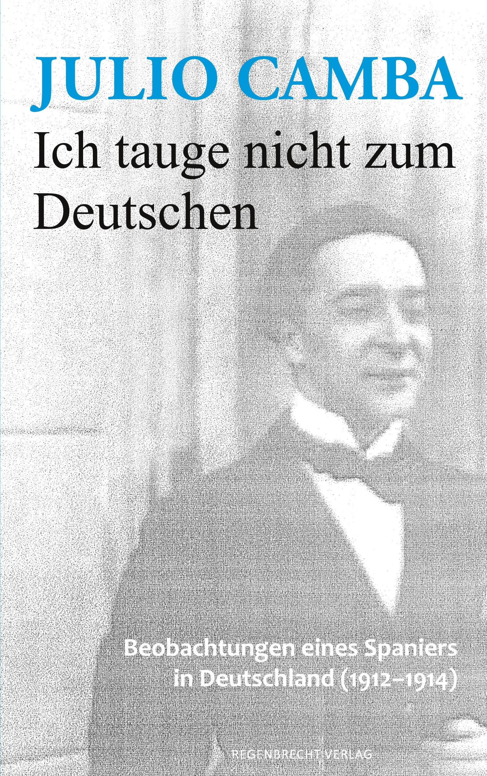 Vorderes Coverbild Ich tauge nicht zum Deutschen