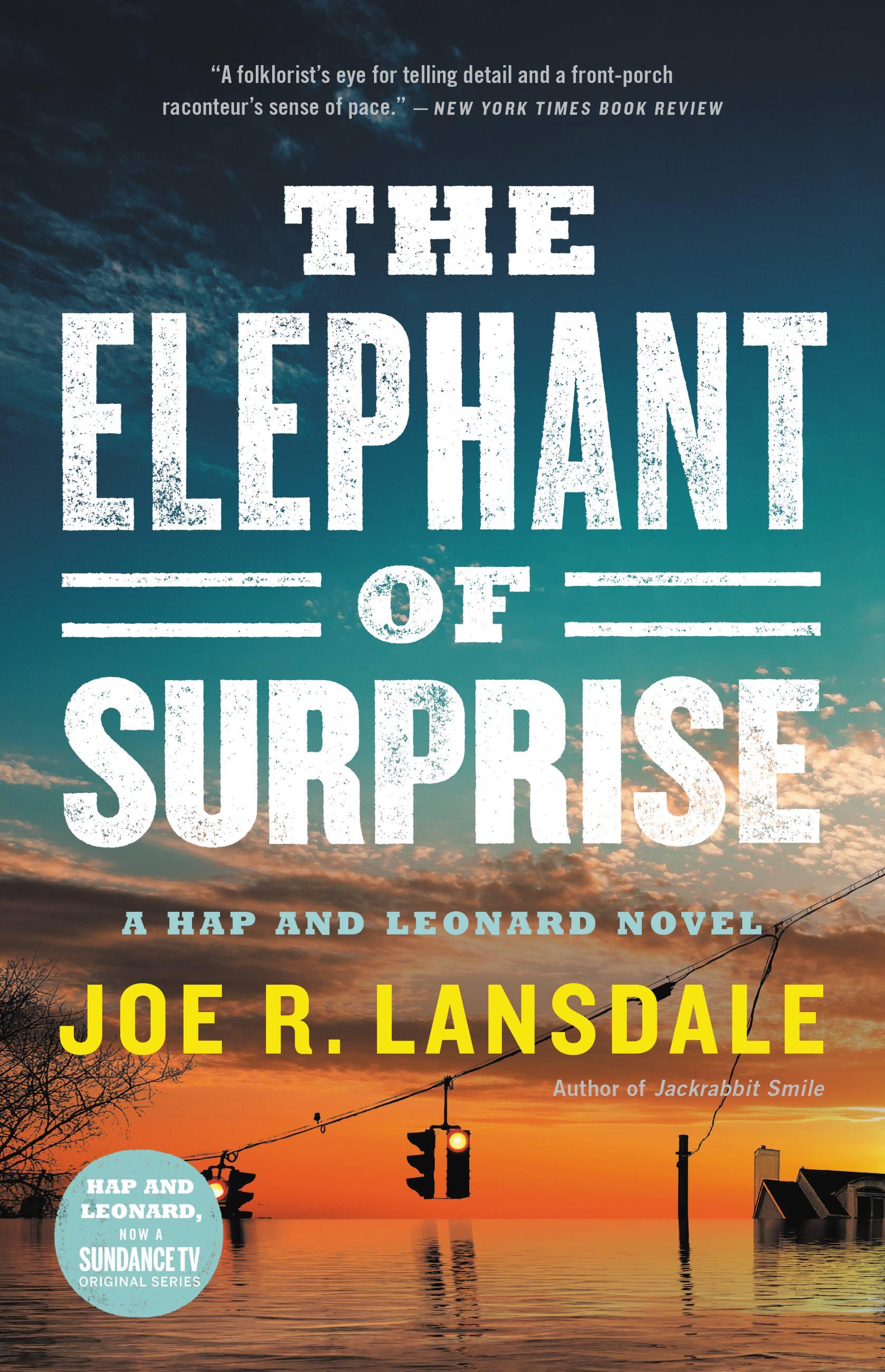 Vorderes Coverbild The Elephant of Surprise