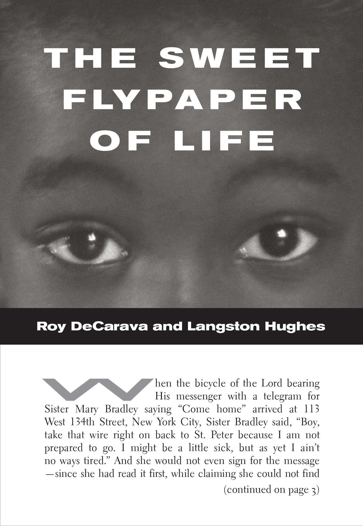 Vorderes Coverbild The Sweet Flypaper of Life