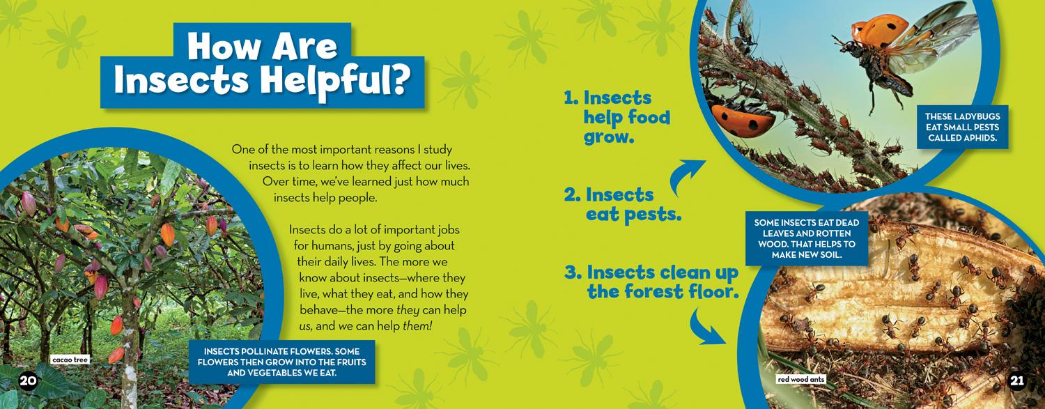 Beispielinhalt (Bild) You Can Be an Entomologist