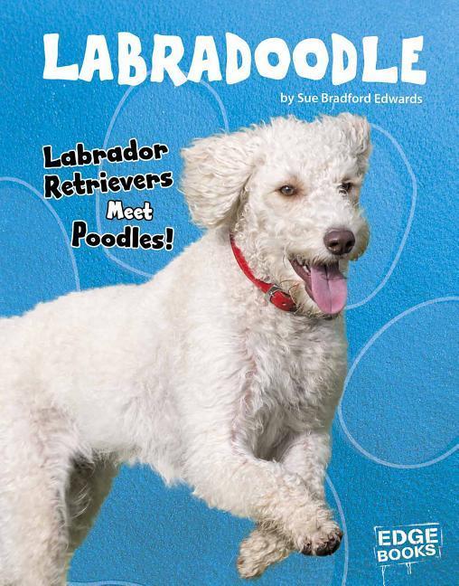 Vorderes Coverbild Labradoodle