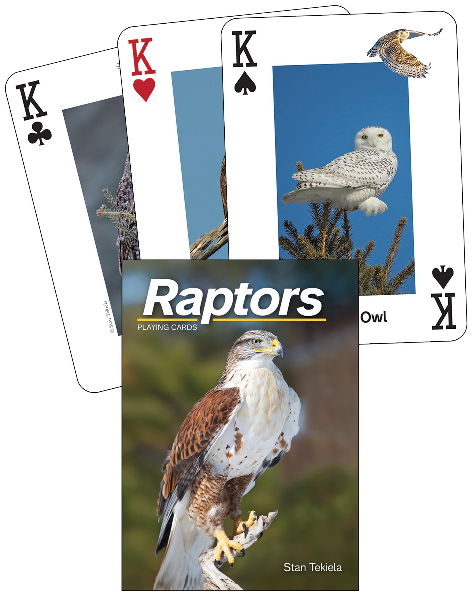 Vorderes Coverbild Raptors Playing Cards