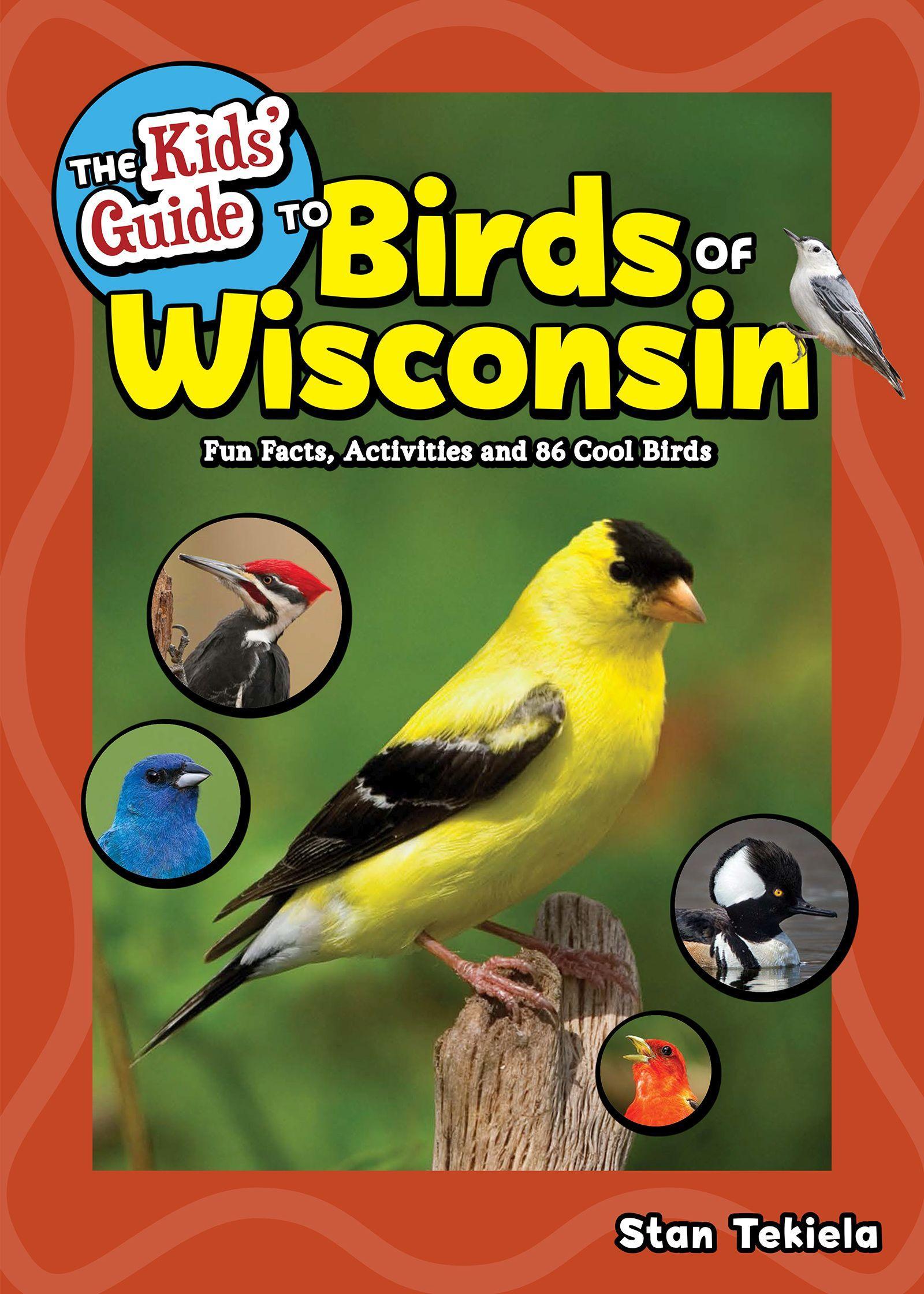 Vorderes Coverbild The Kids' Guide to Birds of Wisconsin