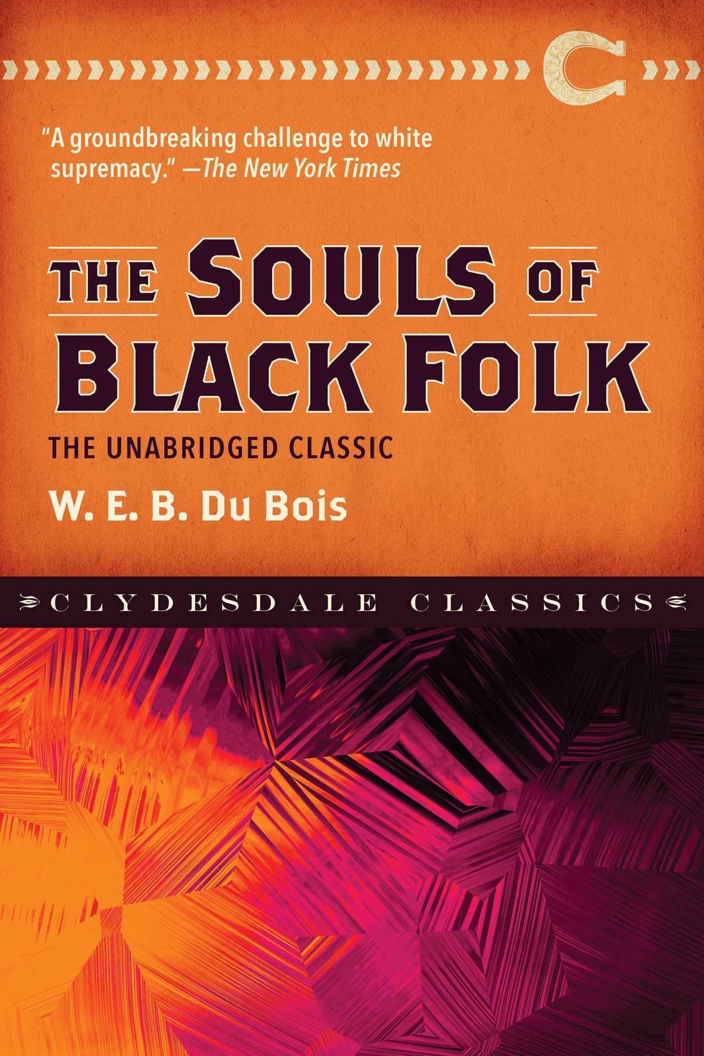 Vorderes Coverbild The Souls of Black Folk