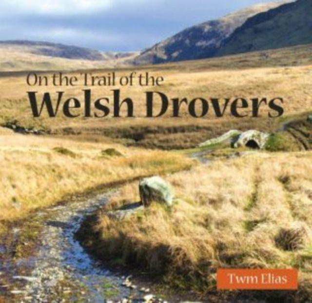Vorderes Coverbild Compact Wales: On the Trail of the Welsh Drovers