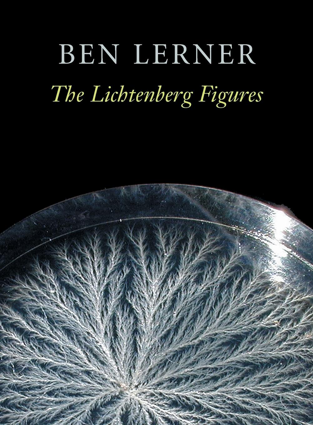 Vorderes Coverbild The Lichtenberg Figures