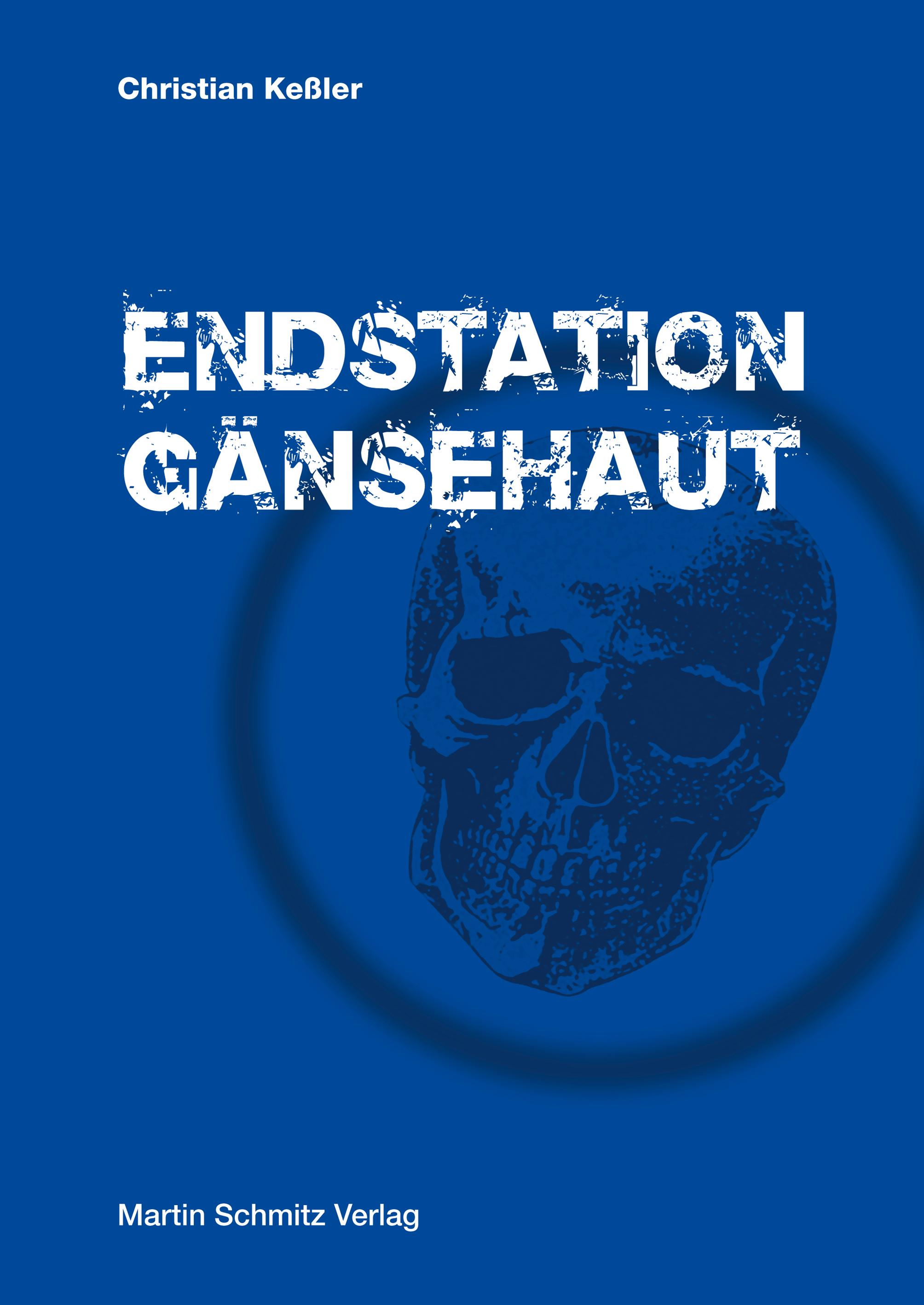 Vorderes Coverbild Endstation Gänsehaut