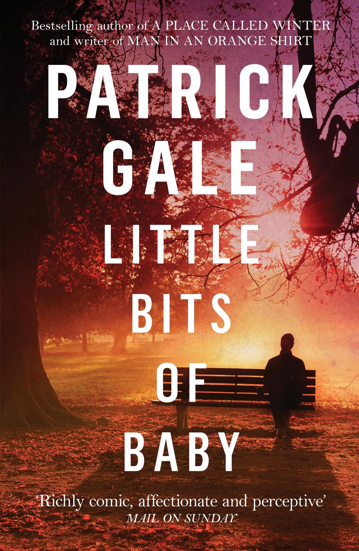 Vorderes Coverbild Little Bits of Baby