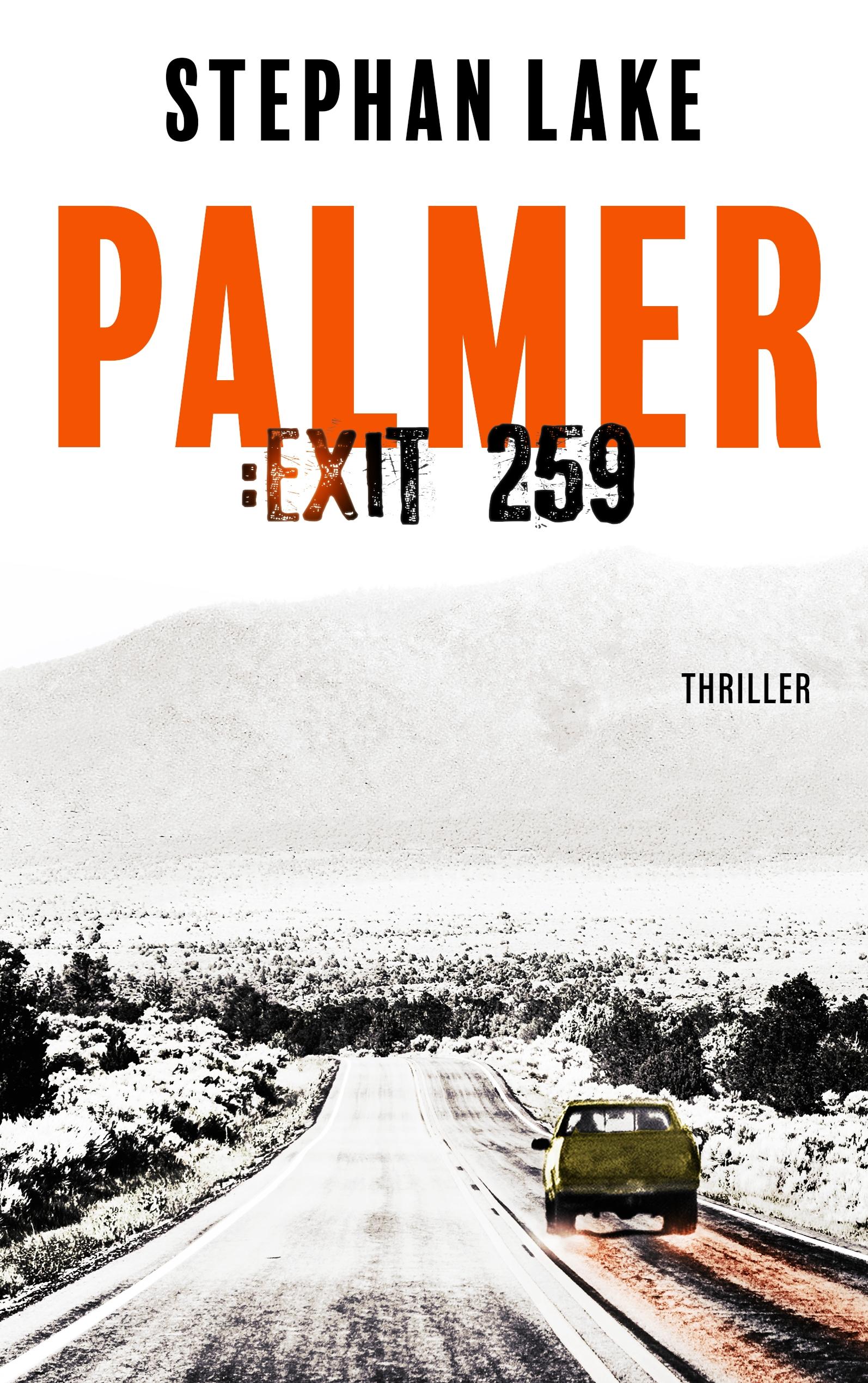 Vorderes Coverbild Palmer :Exit 259